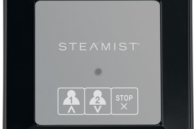 Steamist 220 Control - Matte Black Finish