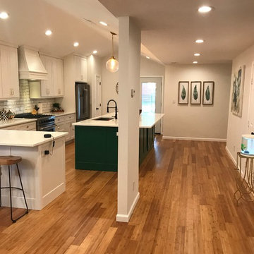Kitchen/ Dining Room Update in conservation district
