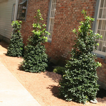 Flowerbeds and Backyard Makeover