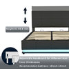 Gewnee Queen Size Upholstered Platform Bed with LED Lights in Black