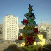 Оюунтунгалаг Ц.s foto