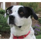 Nancy Denwood's photo