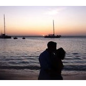 Dawn Sullivan's photo