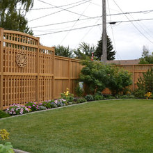 backyards