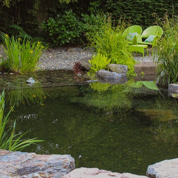 Backyard Swim Pond