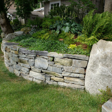 Design around existing trees