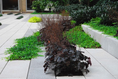 Inspiration for a contemporary landscaping in San Francisco.