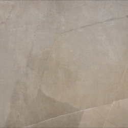 LT Series: DG - Wall And Floor Tile