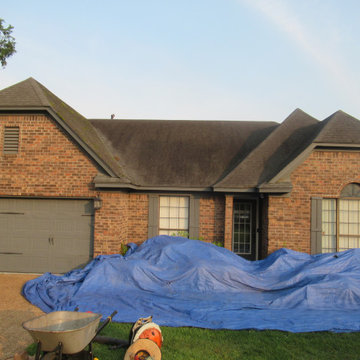 Roof Replacements