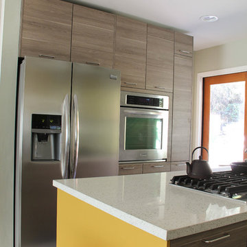 Compact & Vivid Contemporary Kitchen in Pasadena