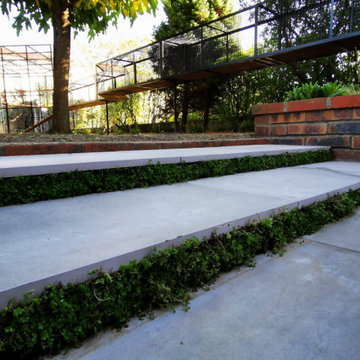 Jardin pour chats - Cat power