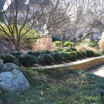Landscape Design & Installation