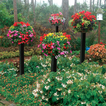 Side-Planted Baskets on Border Columns