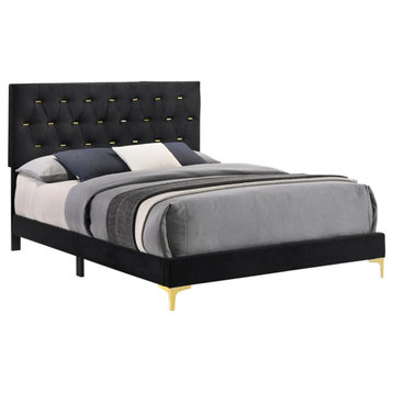 Pemberly Row Tufted Velvet Upholstered Panel Queen Bed Black