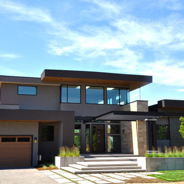 Modern Holly