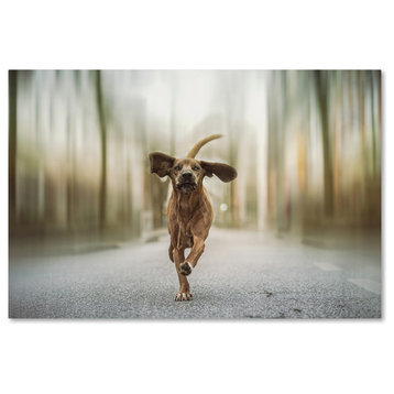 Heike Willers 'Dancing In The Streets' Canvas Art, 47 x 30