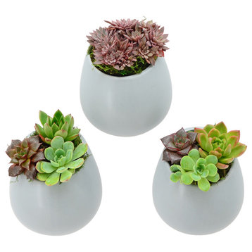 Small Round Wall Planters, Set of 3, Light Gray