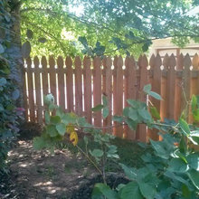 fences