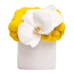 Retro Delight - Home Decor
