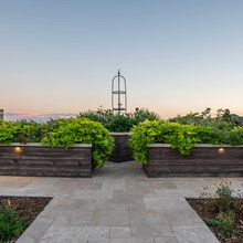 Landscape and plants