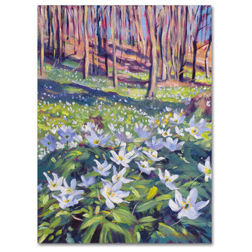 David Lloyd Glover 'Anemones in the Meadow' Canvas Art, 24"x32"