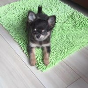 Foto de 典晃西尾
