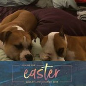 Claire Treanor's photo