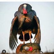 Gregory Dobson's photo