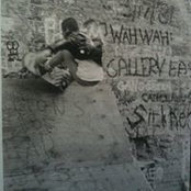 Gregg DiLeo's photo