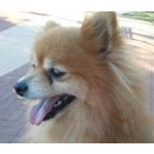 Sharon Reif's photo