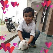 Foto von Vivek Singh
