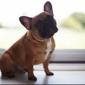 Julie Harding's photo