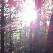 Amanda Cheatham-Hurd's photo