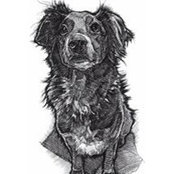 Sarah Ranta's photo