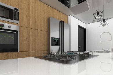 Inspiration for a modern kitchen remodel in Other
