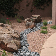 Front slope Xeriscape