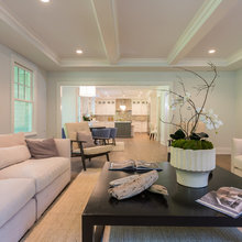 New Living/family Room