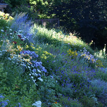 Native and Naturalistic Design
