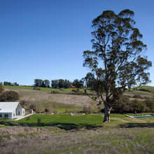 Whole house design and concept
