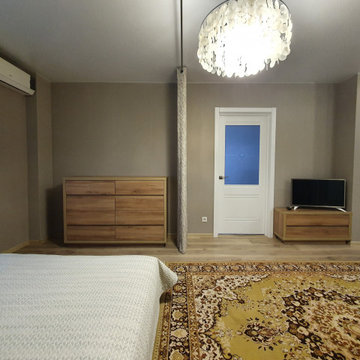 Переделка существующей гостиной-спальни-прихожей 23,26 м/кв