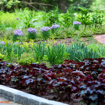 Layered Drift planting at Red Barn, Red Brick