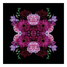 Purple and Pink Pleasure (PPP)