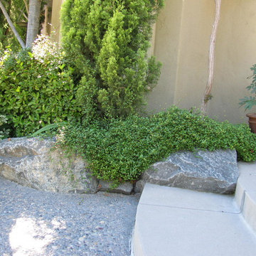 Schulz Residence