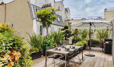 Avant/Après : Une terrasse parisienne à l'ambiance bucolique