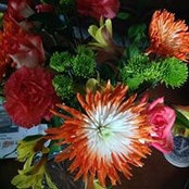 Cornelia Keesee's photo