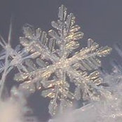 Mary Tresner's photo