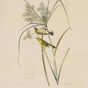 Photo de April Dirr