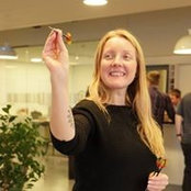 Berglind Bergsdóttir's photo