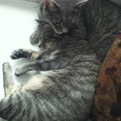 Chris VanSteenberg's photo