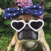 Jeanine Tasso's photo